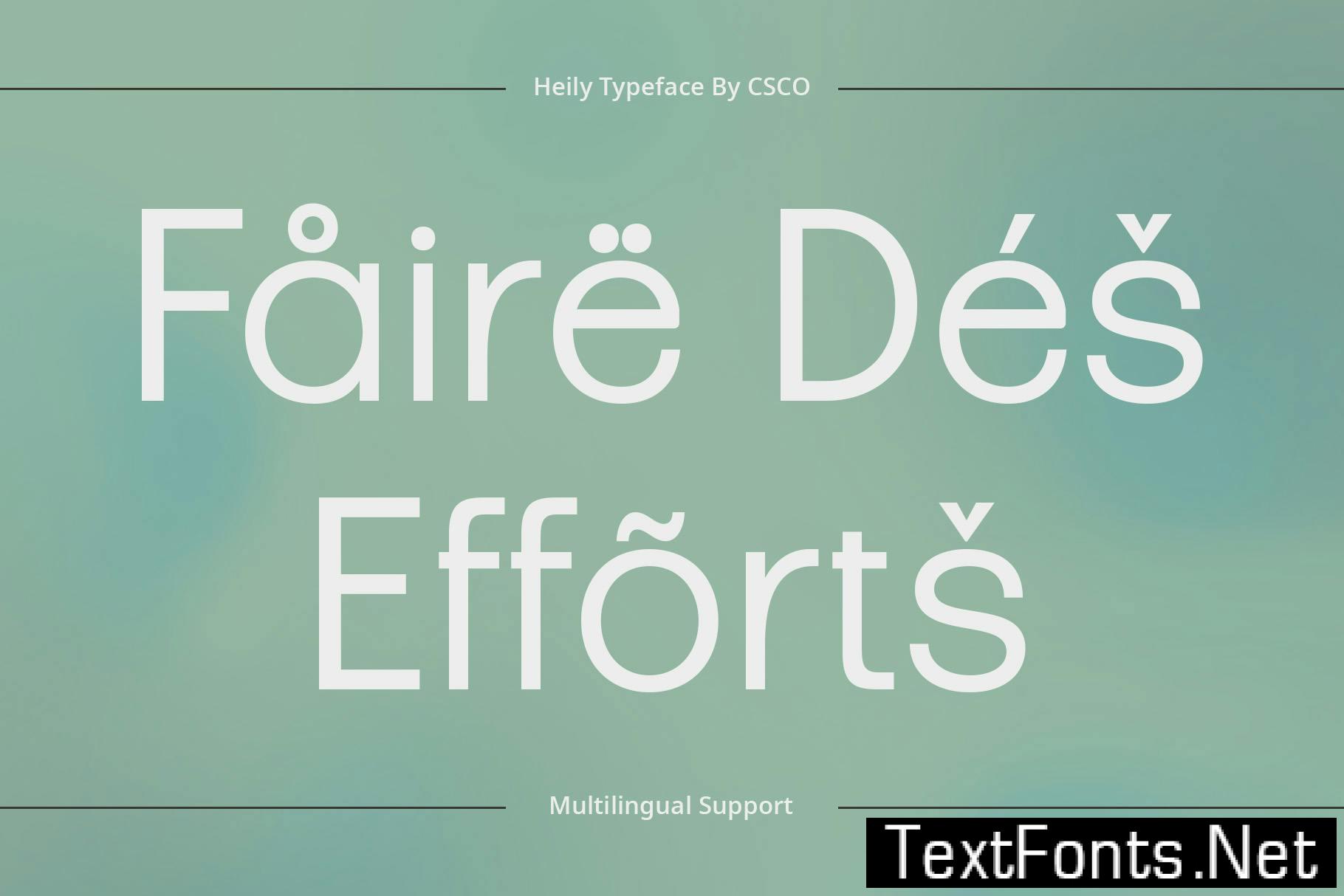 Heily – Grotesque Sans Serif 3TYEEUU