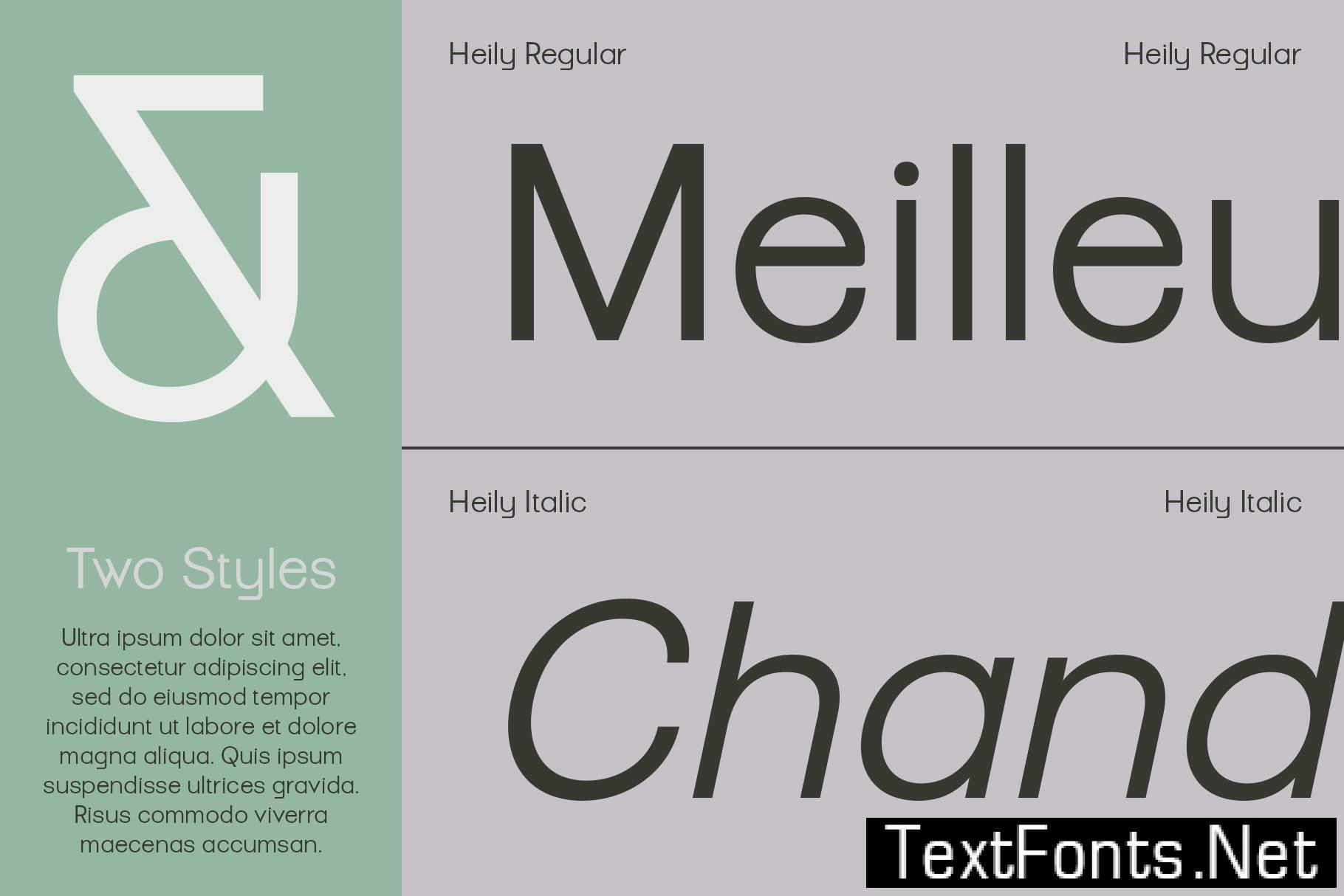 Heily – Grotesque Sans Serif 3TYEEUU