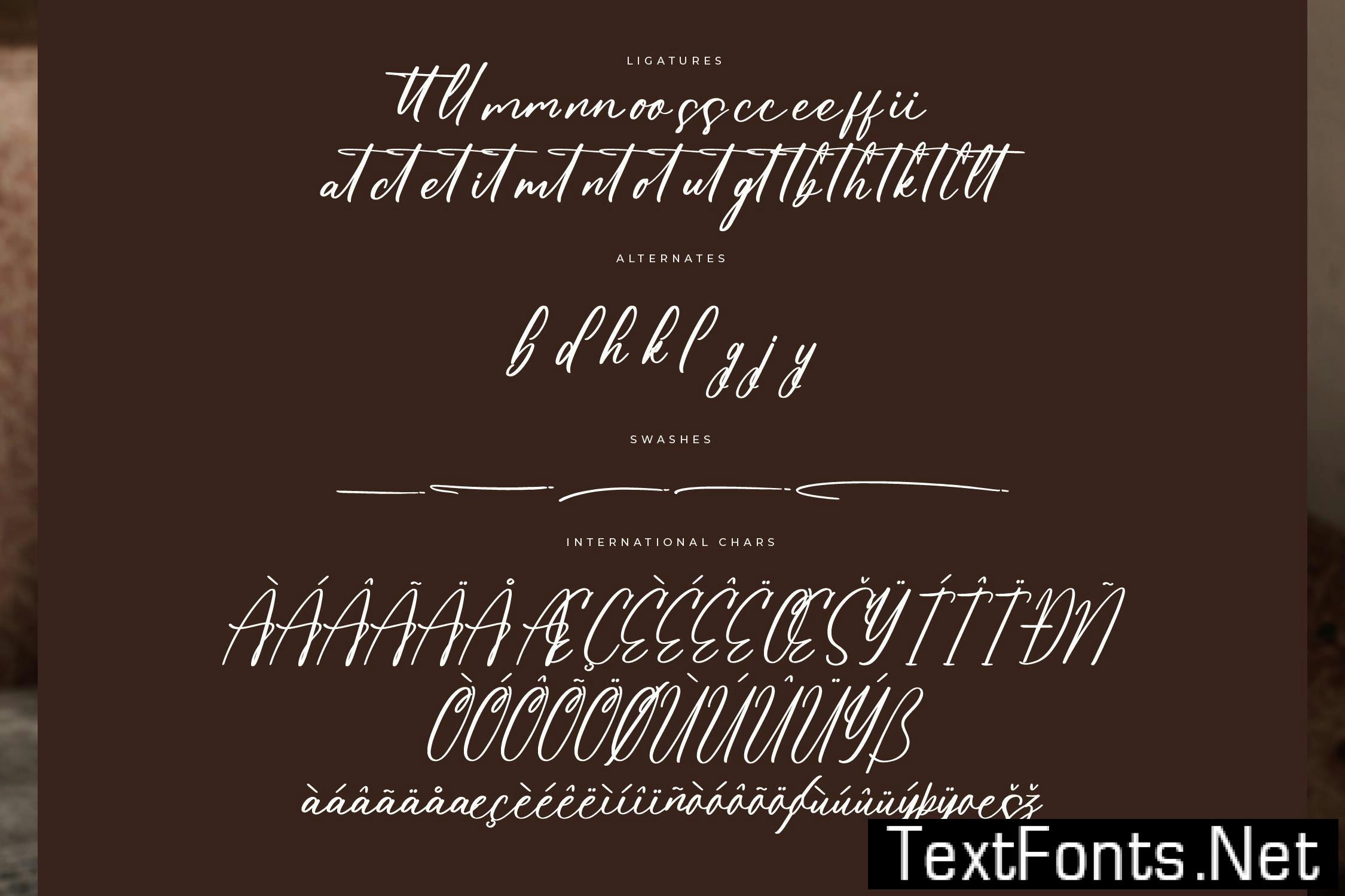 Henryta Bradley Modern Freestyle Script T5K9R22