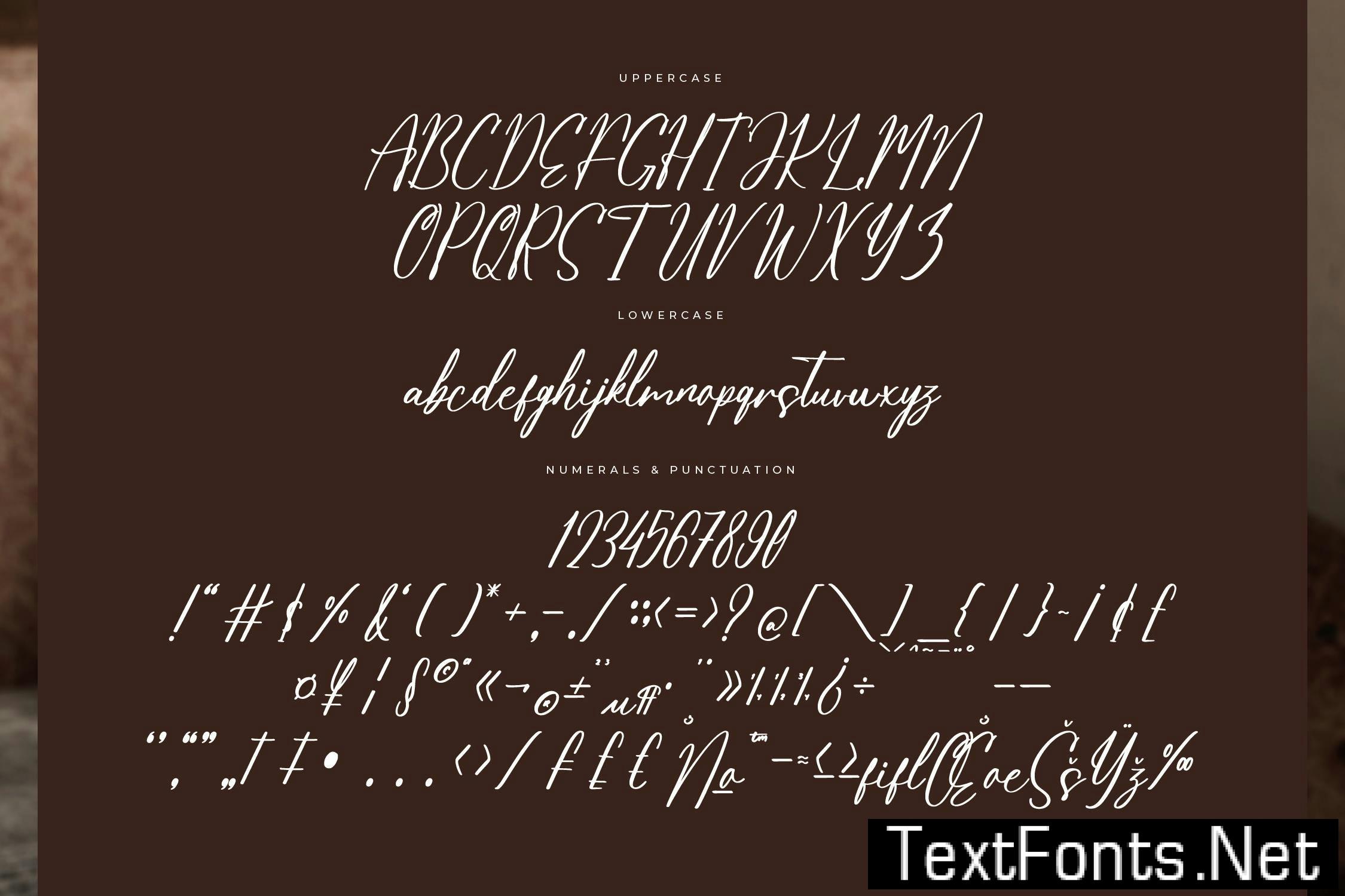 Henryta Bradley Modern Freestyle Script T5K9R22