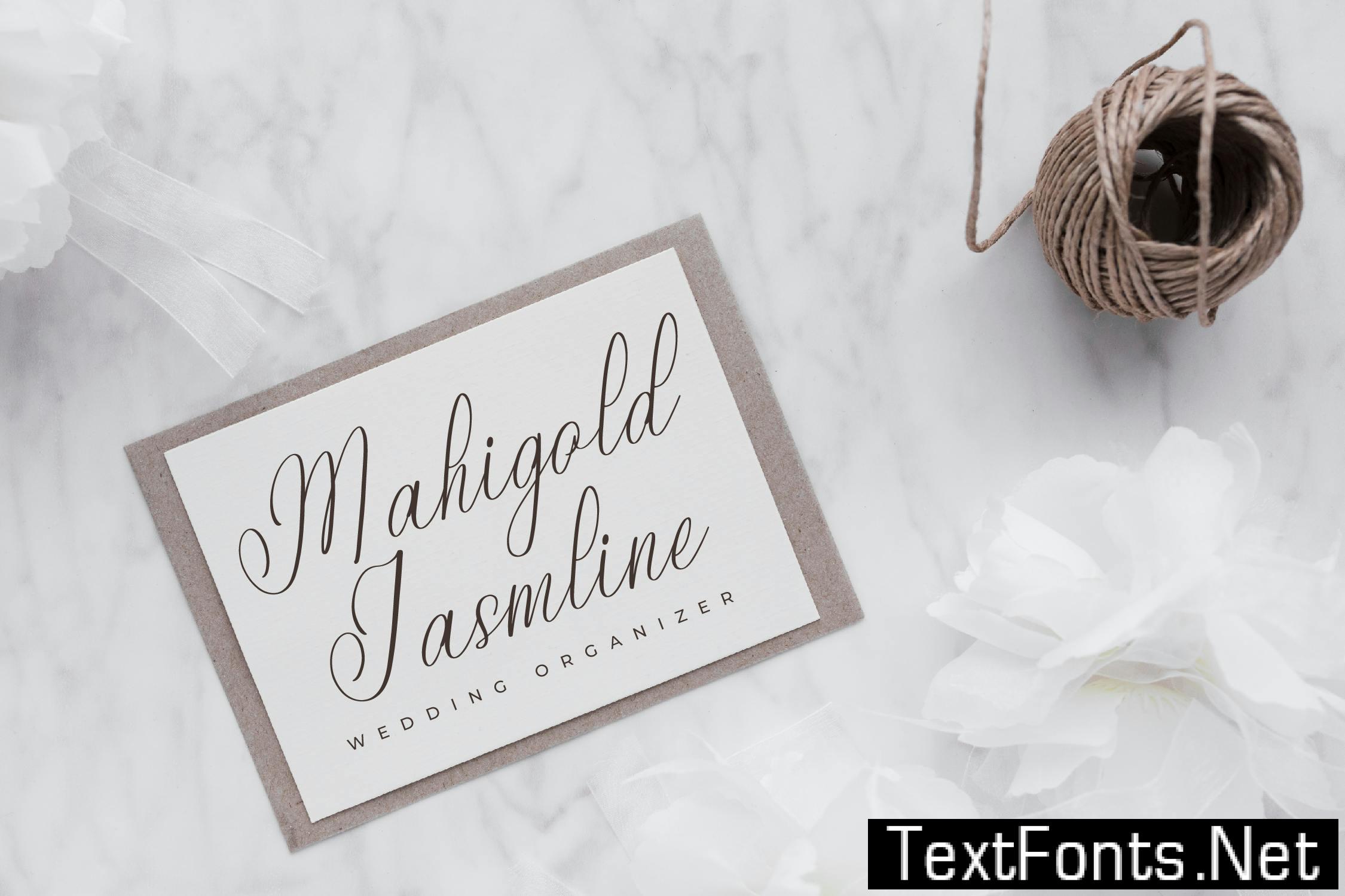 Herbina Yolanda Modern Script MTQLWGN