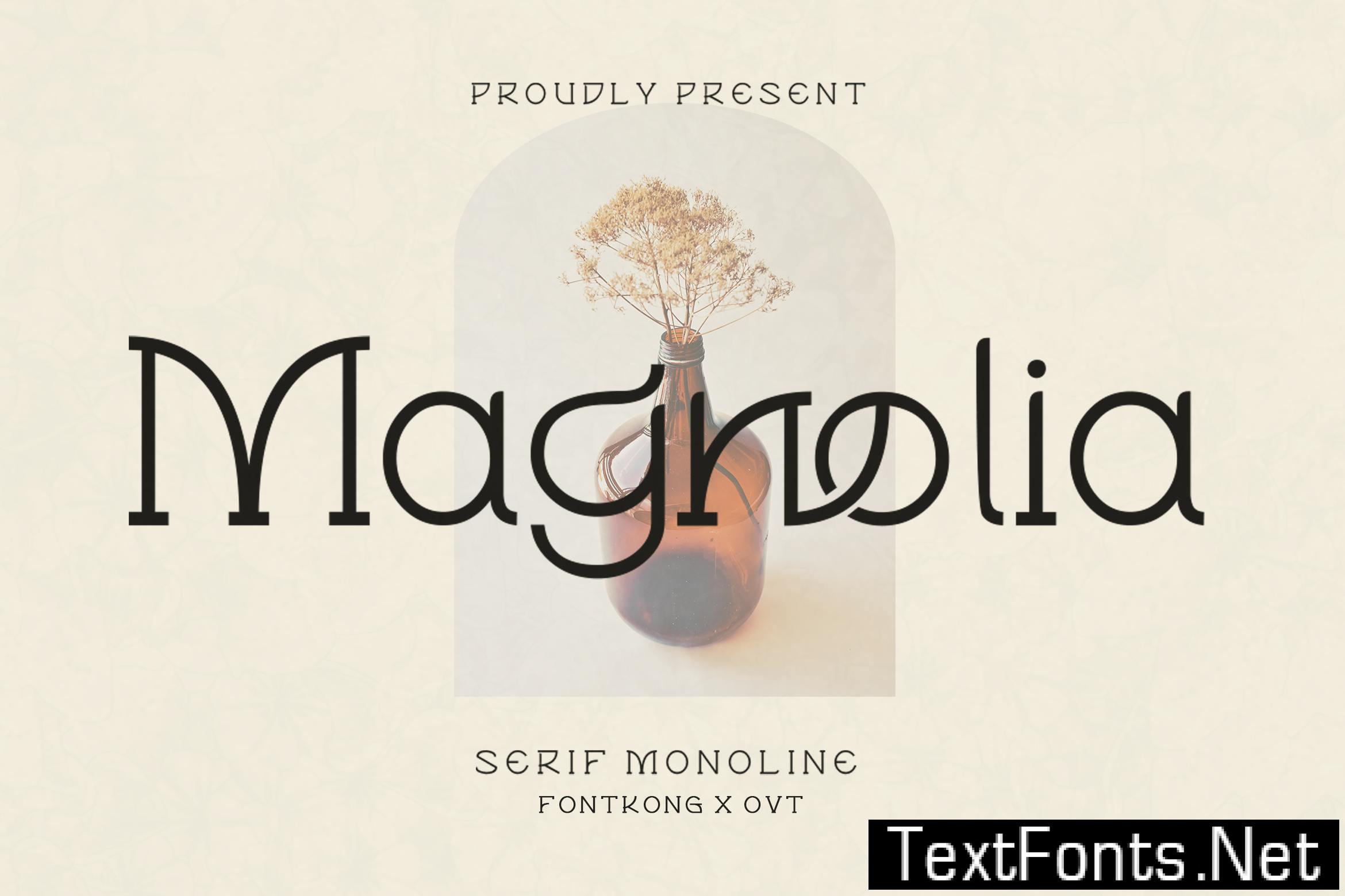 Magnolia - Serif Font Monoline NHA7T6P