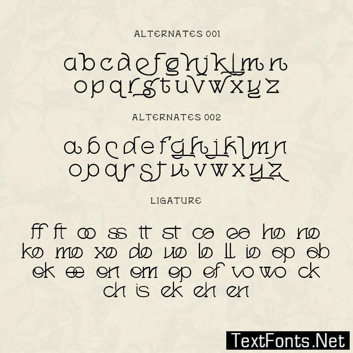 Magnolia - Serif Font Monoline NHA7T6P