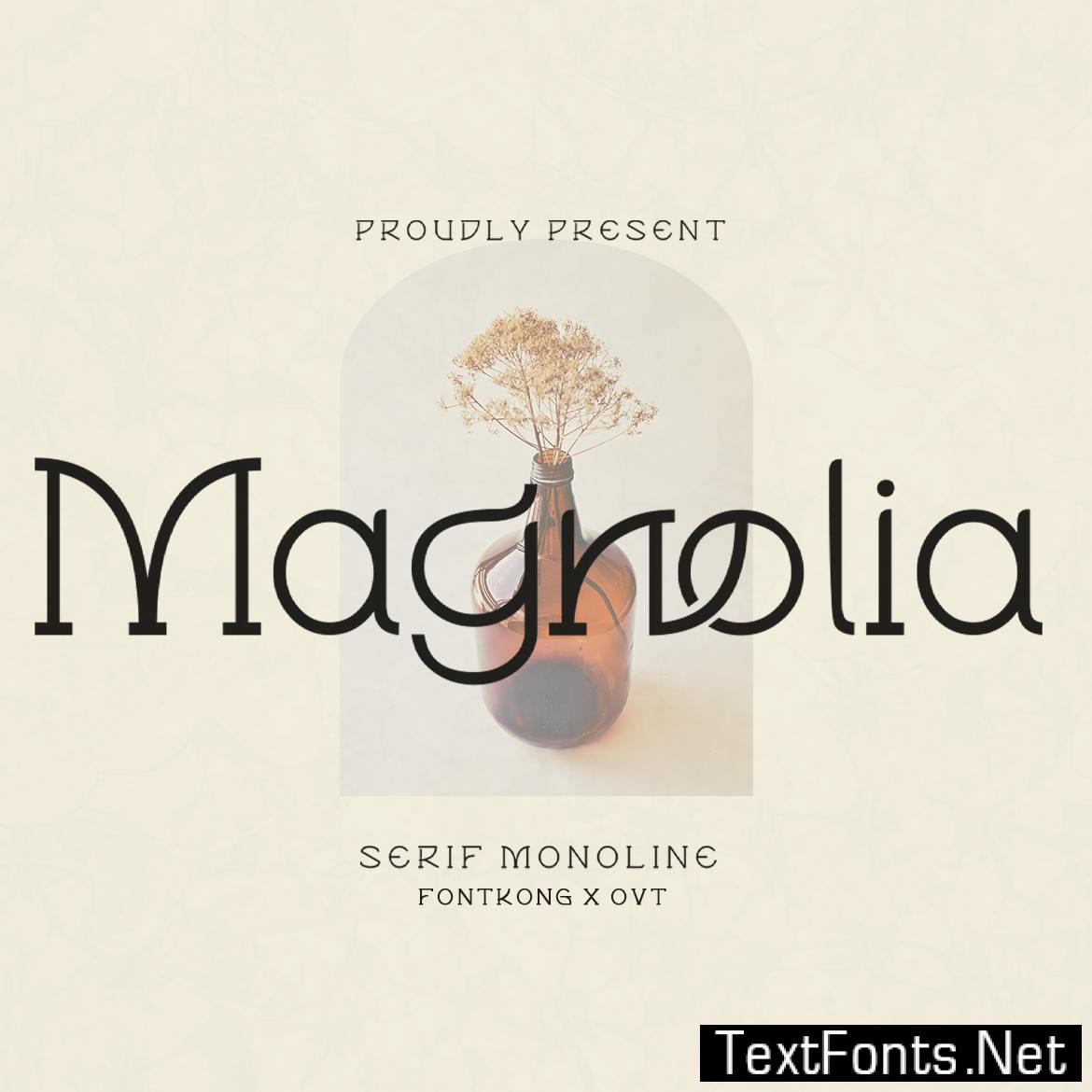 Magnolia - Serif Font Monoline NHA7T6P