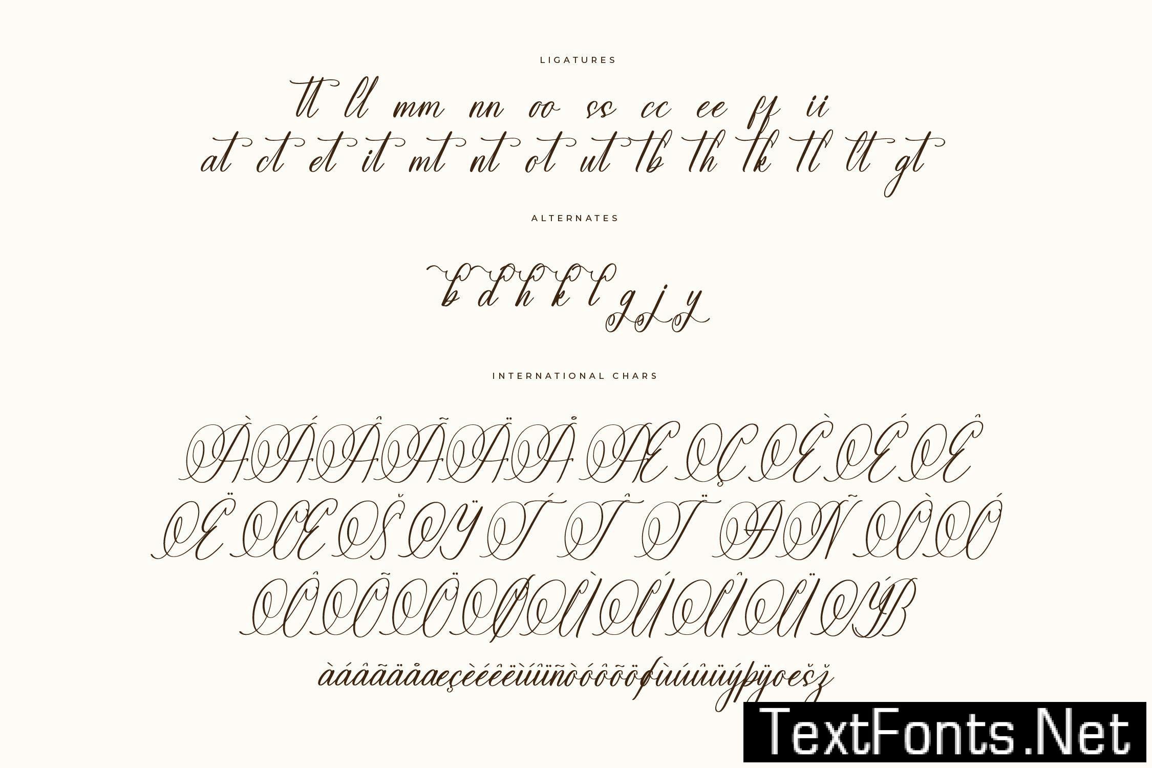 Natassha Sintaleny Modern Script FDNAT3E