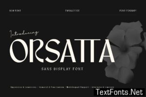 Orsatta – Display Font BP534EF