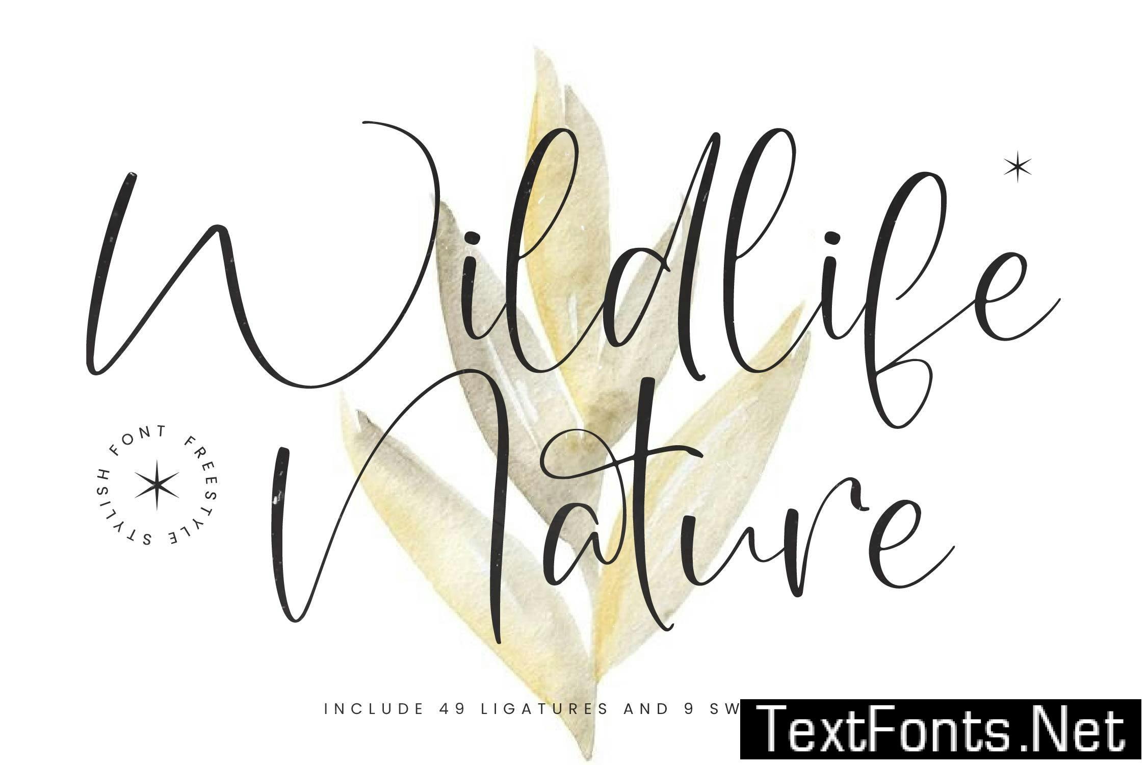 Wildlife Nature Freestyle Stylish Font NNDW4TB