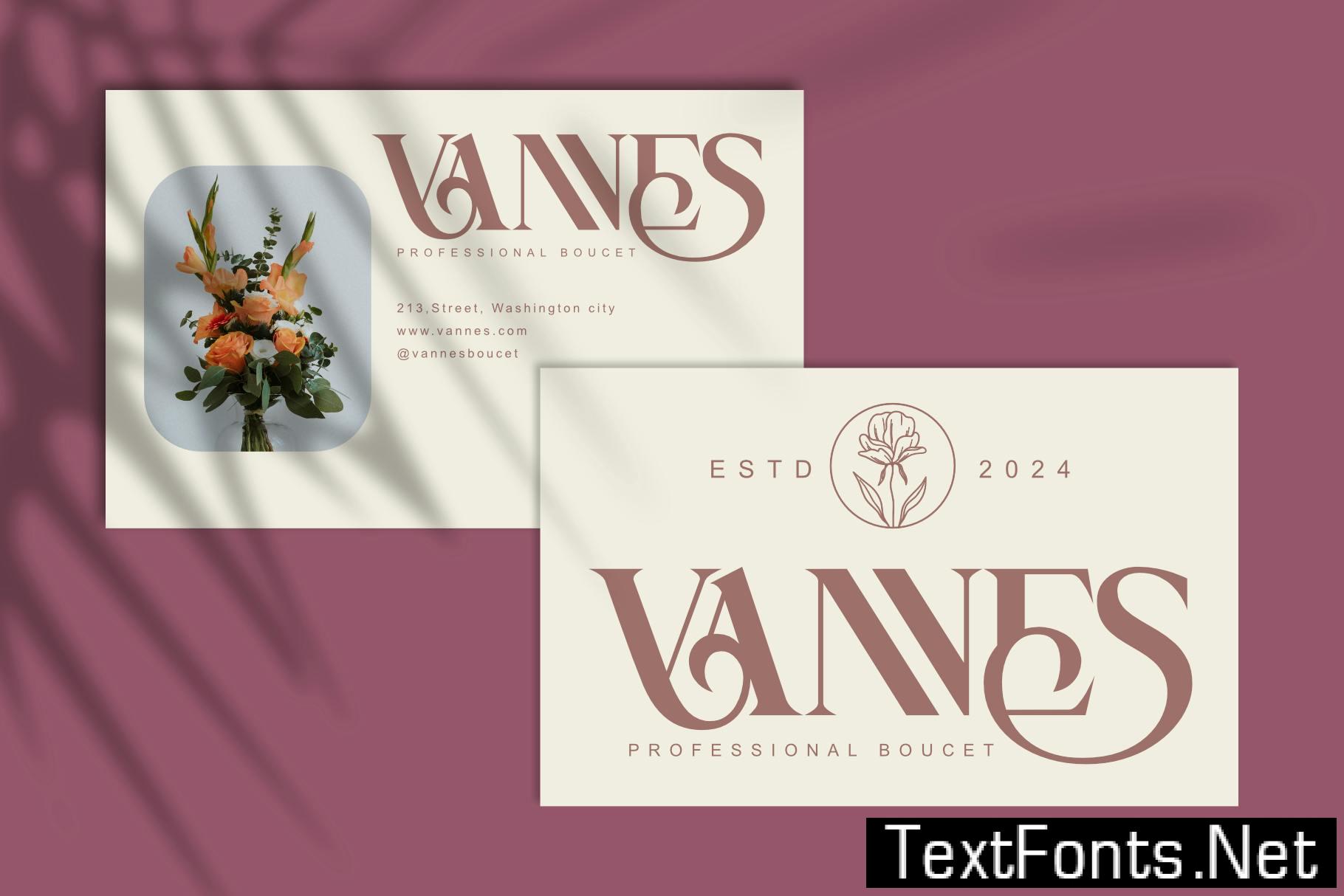 Essinna|Modern Ligature Typeface E3QLSNT