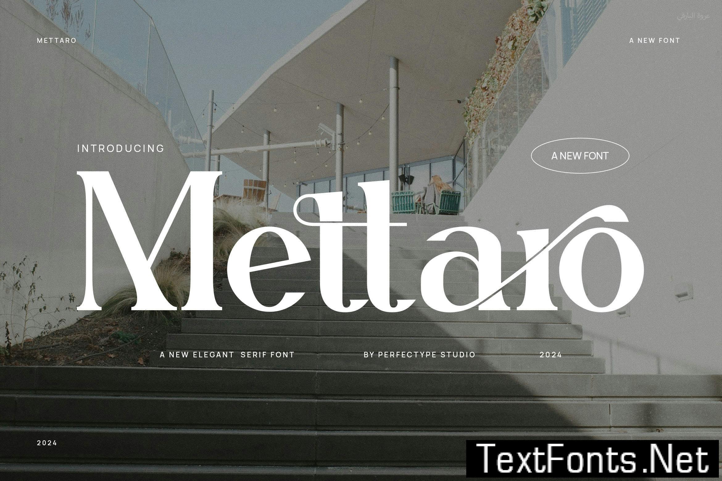 Mettaro Elegant Ligature Serif Font Typeface 536YWV5