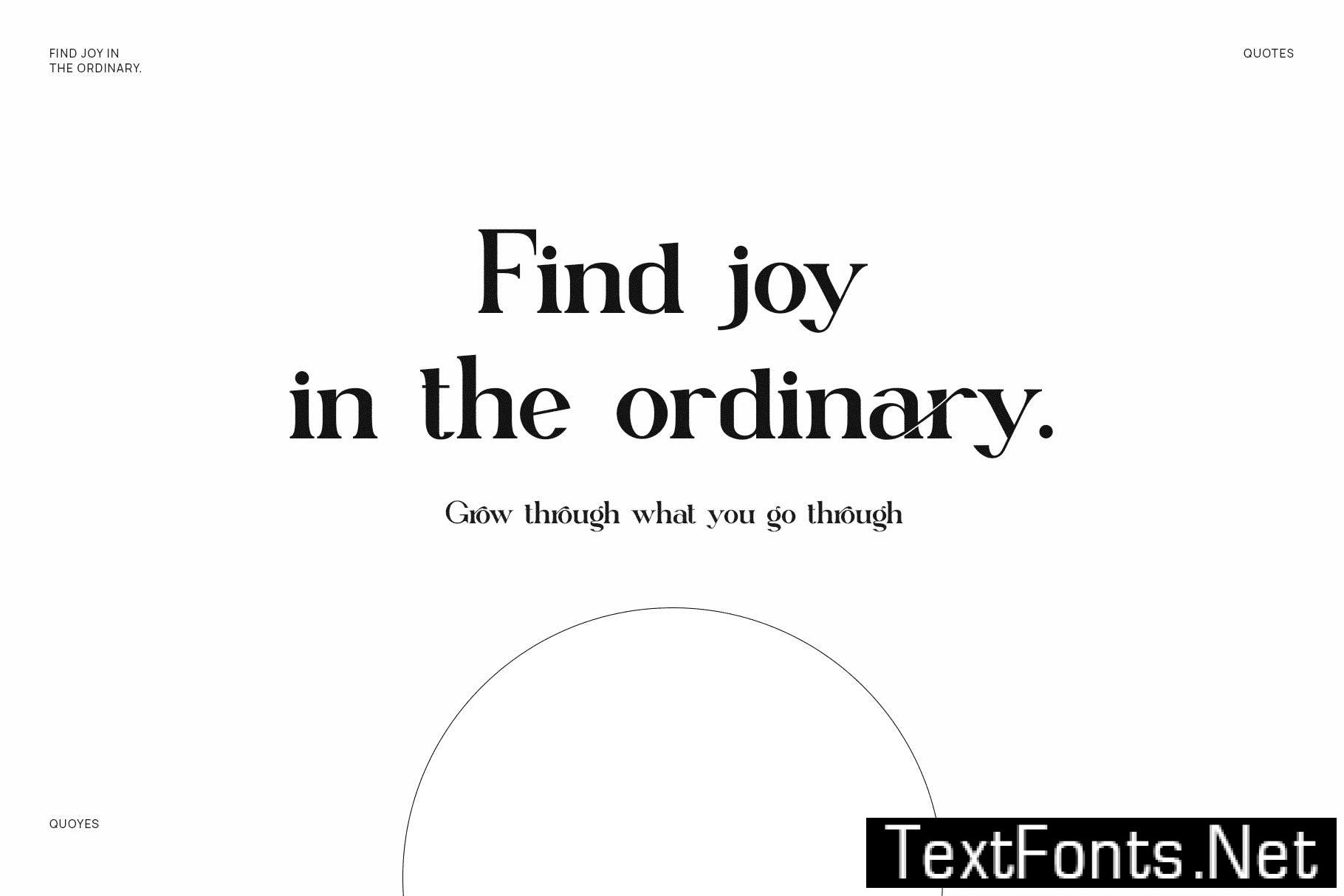 Mettaro Elegant Ligature Serif Font Typeface 536YWV5