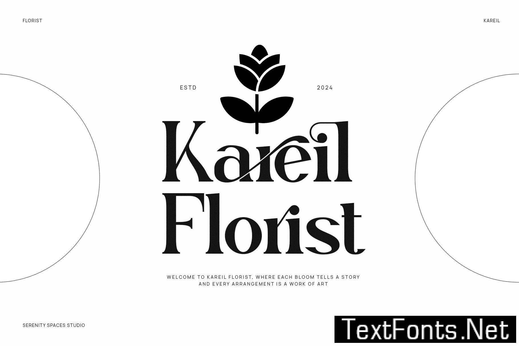 Mettaro Elegant Ligature Serif Font Typeface 536YWV5