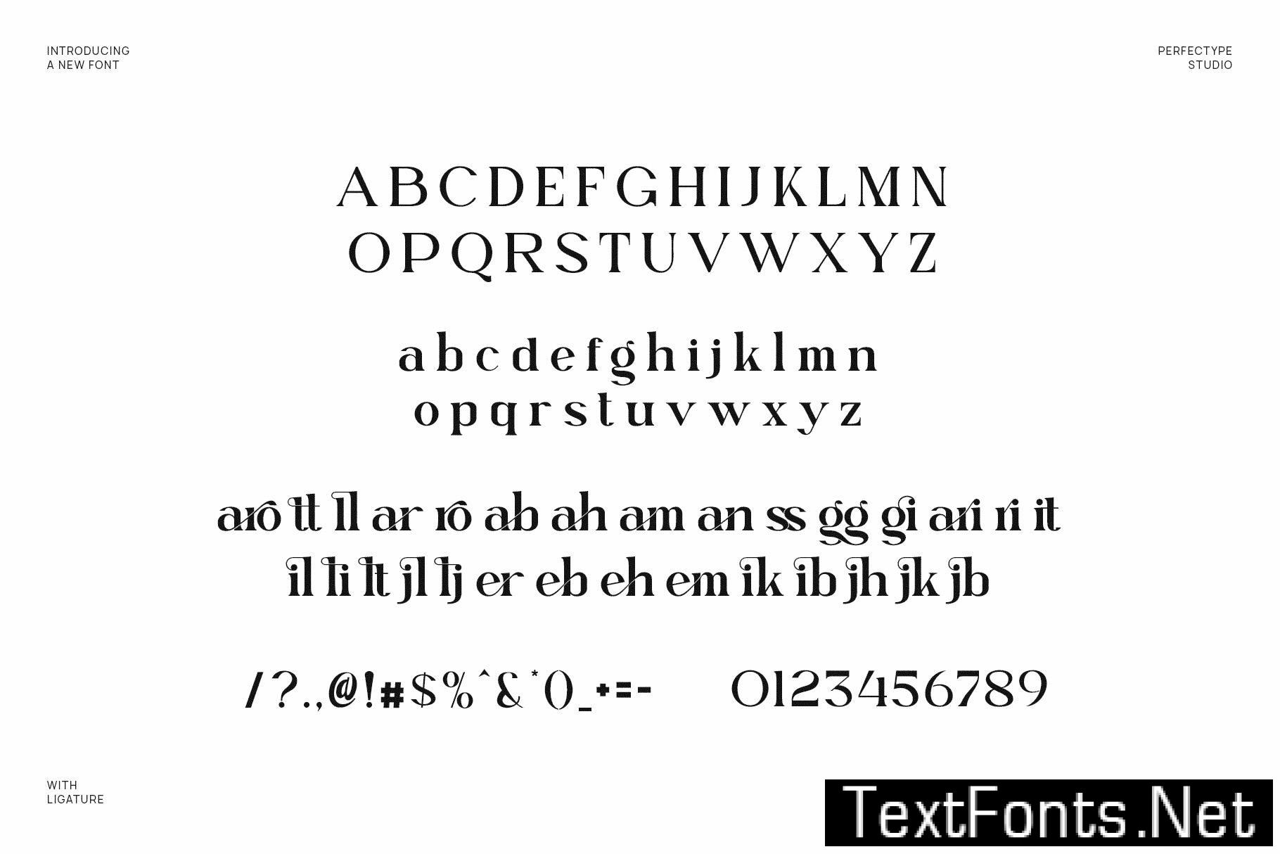 Mettaro Elegant Ligature Serif Font Typeface 536YWV5