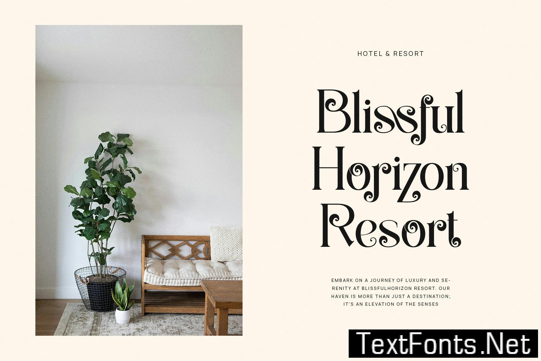 Radiker Elegant Ligature Serif Font Typeface W8M8N2Q