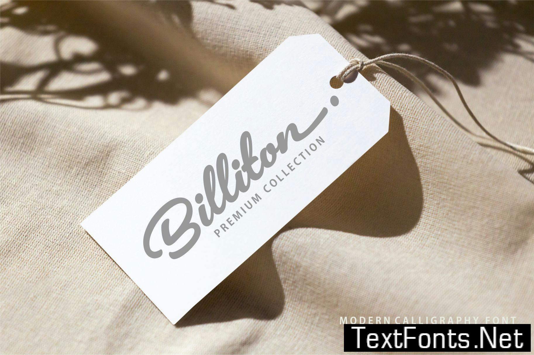 Brickell – Modern Calligraphy Font ZN2LBJU