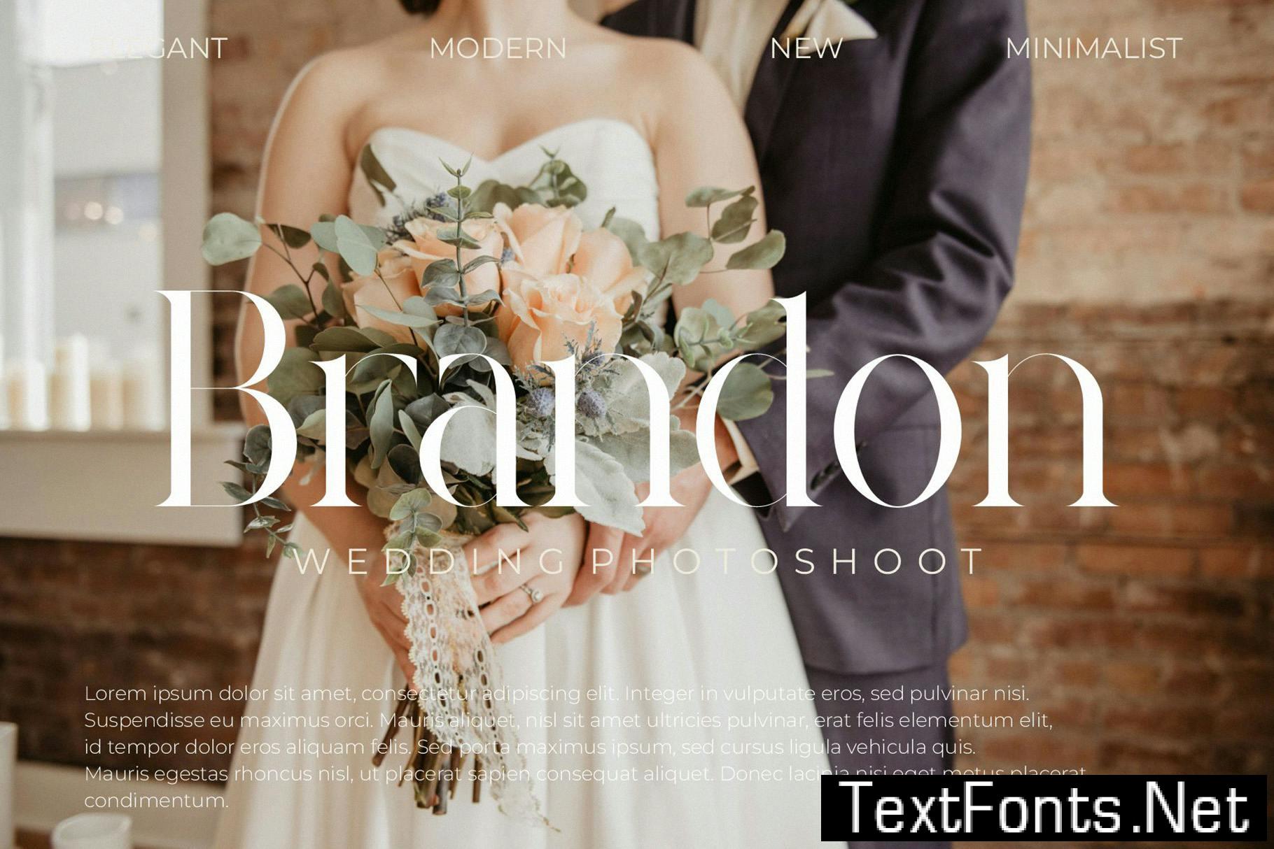 Masante Elegant Serif Typeface 2QG4H3B