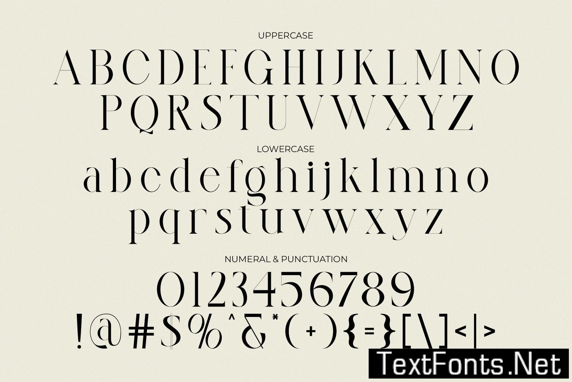 Masante Elegant Serif Typeface 2QG4H3B