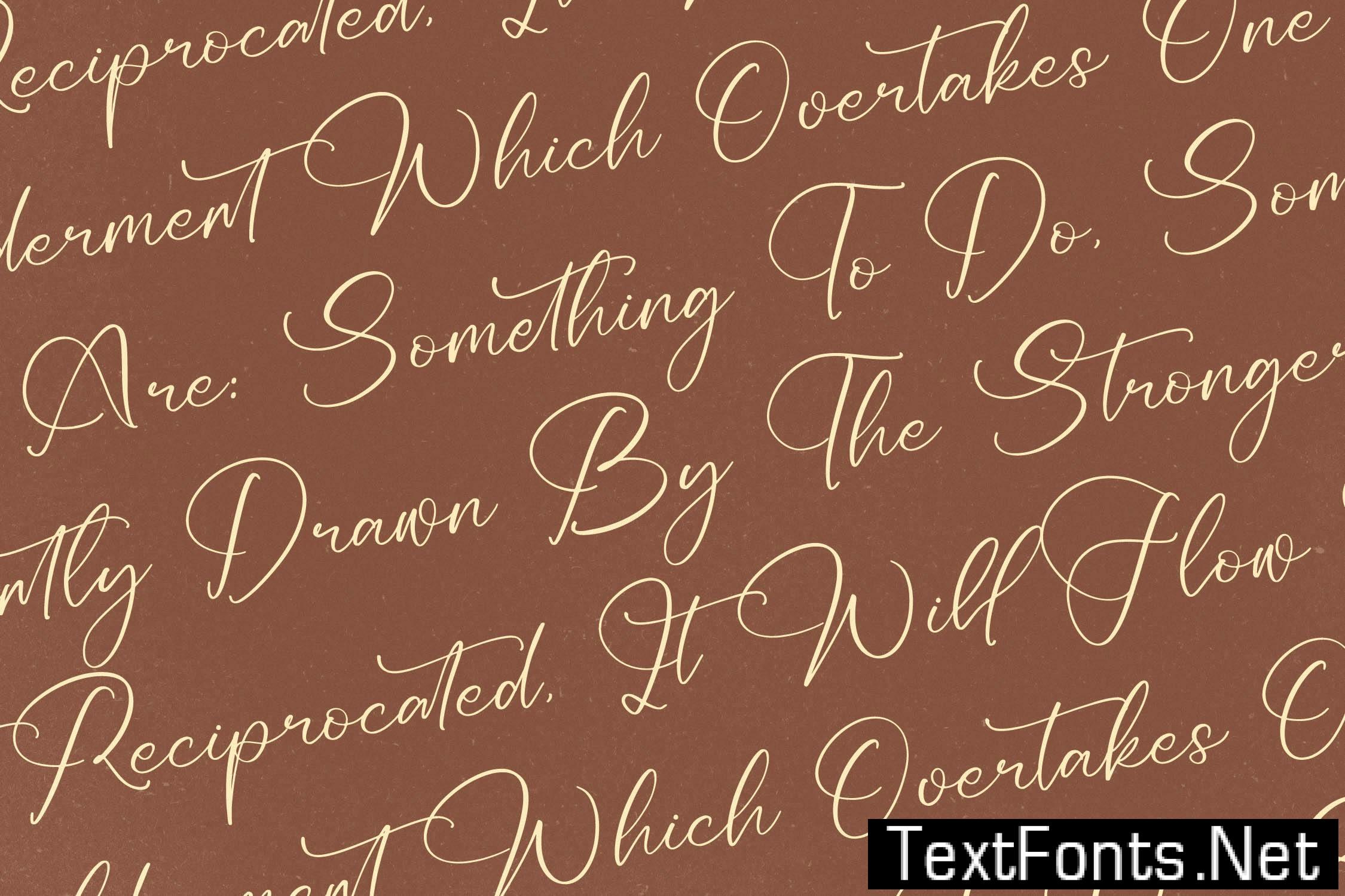 Redianta Brighters Calligraphy Font NWS4V72