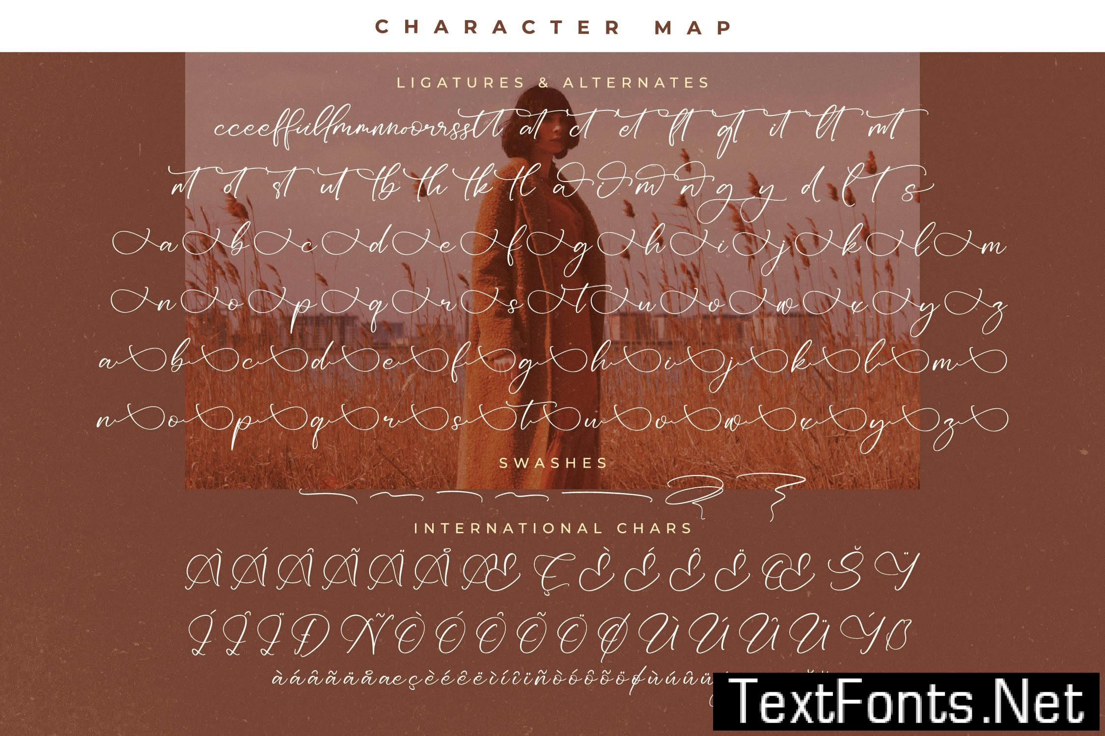 Redianta Brighters Calligraphy Font NWS4V72
