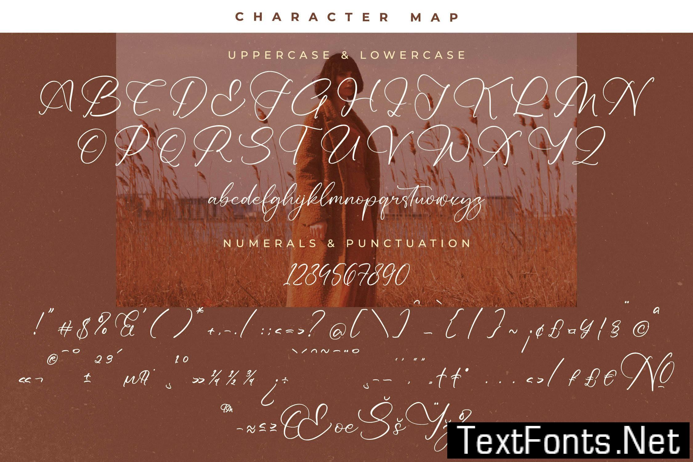 Redianta Brighters Calligraphy Font NWS4V72