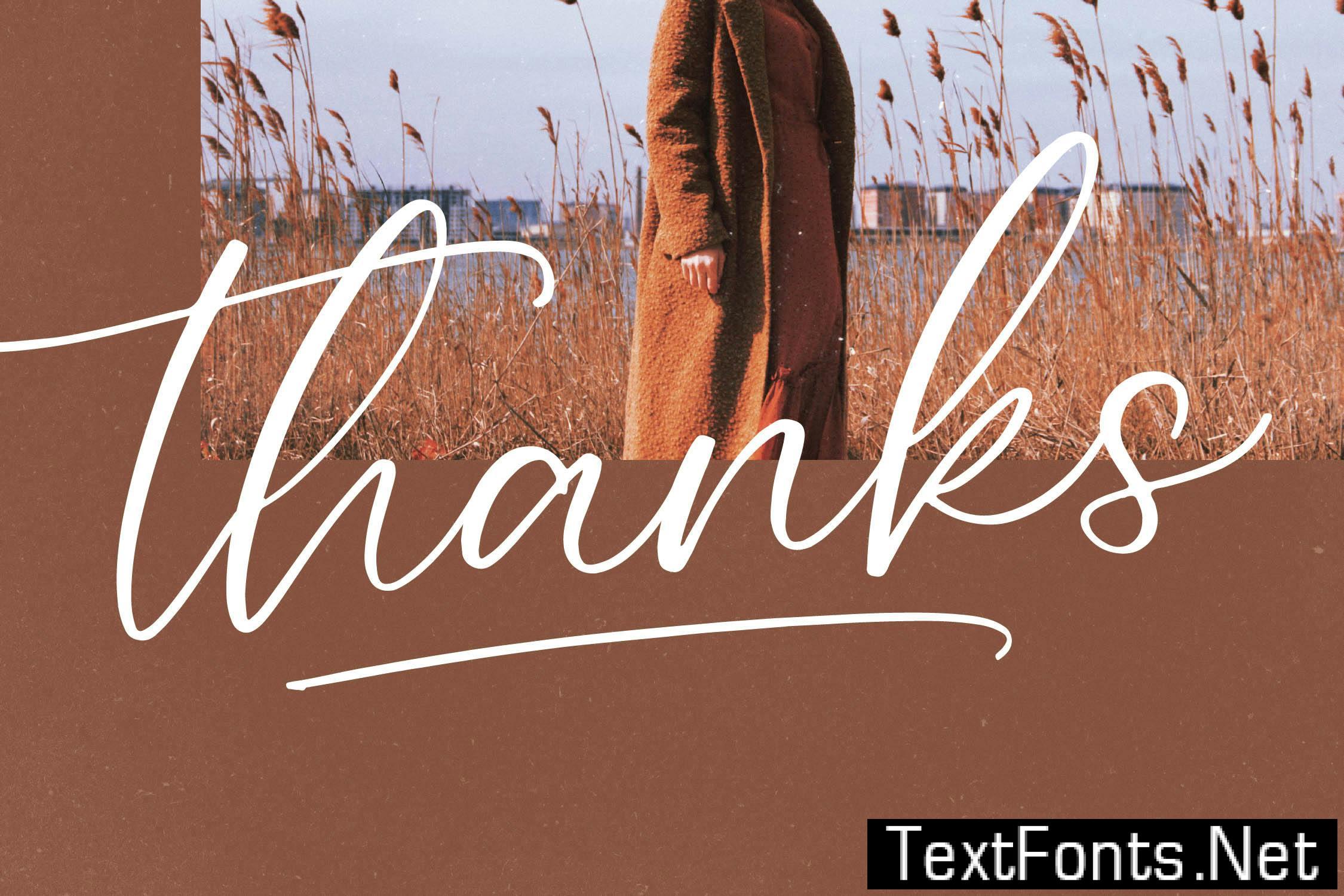 Redianta Brighters Calligraphy Font NWS4V72