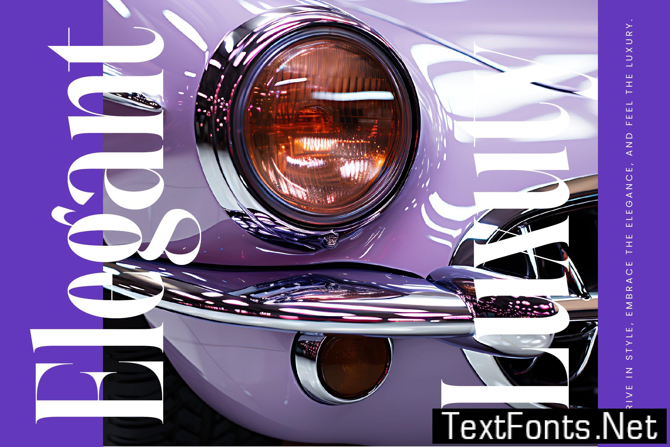 Magrefin Modern Display Font WVNDGFW