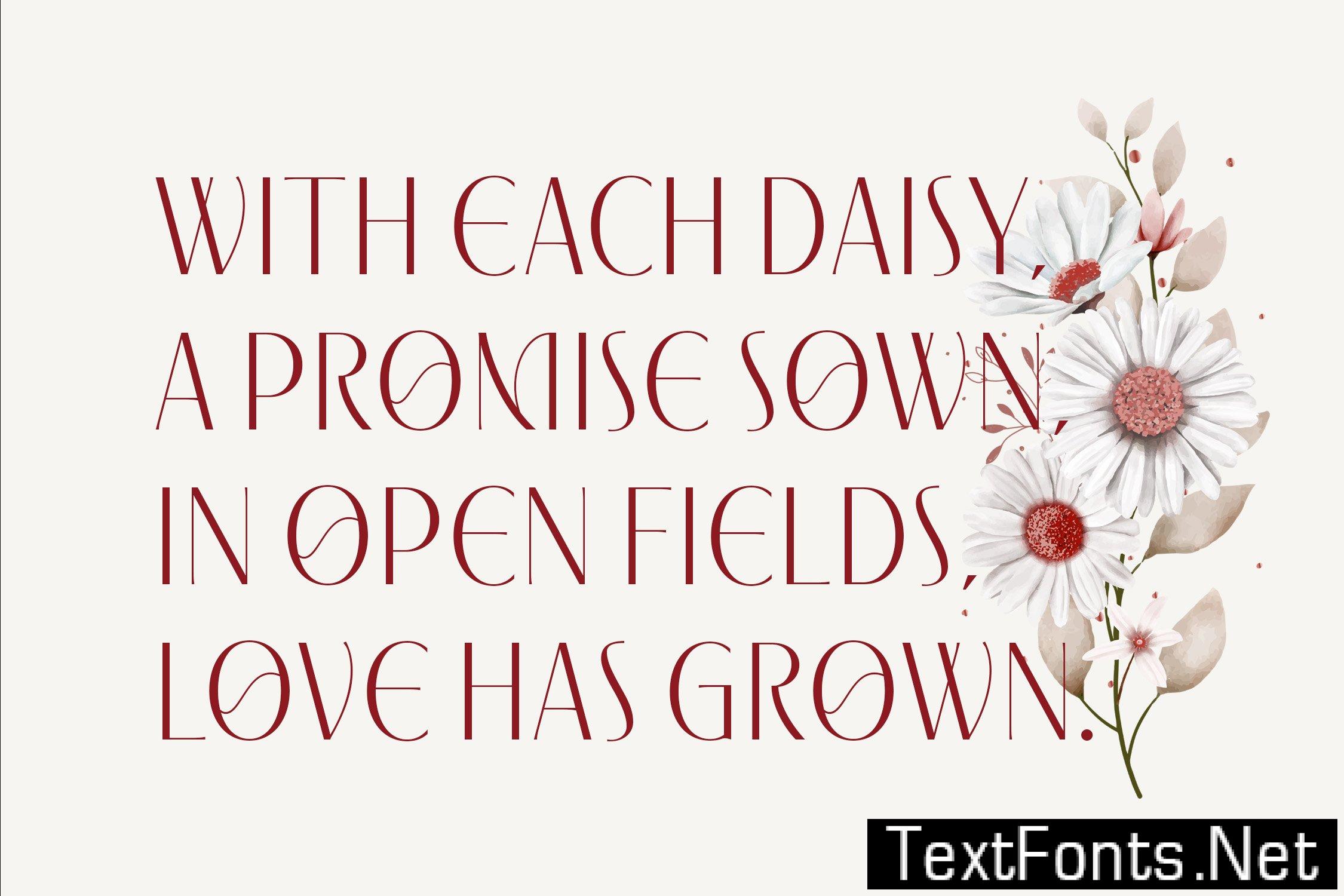 Asiaroma - Beauty Elegant Luxury Sans Serif 67YWNRS