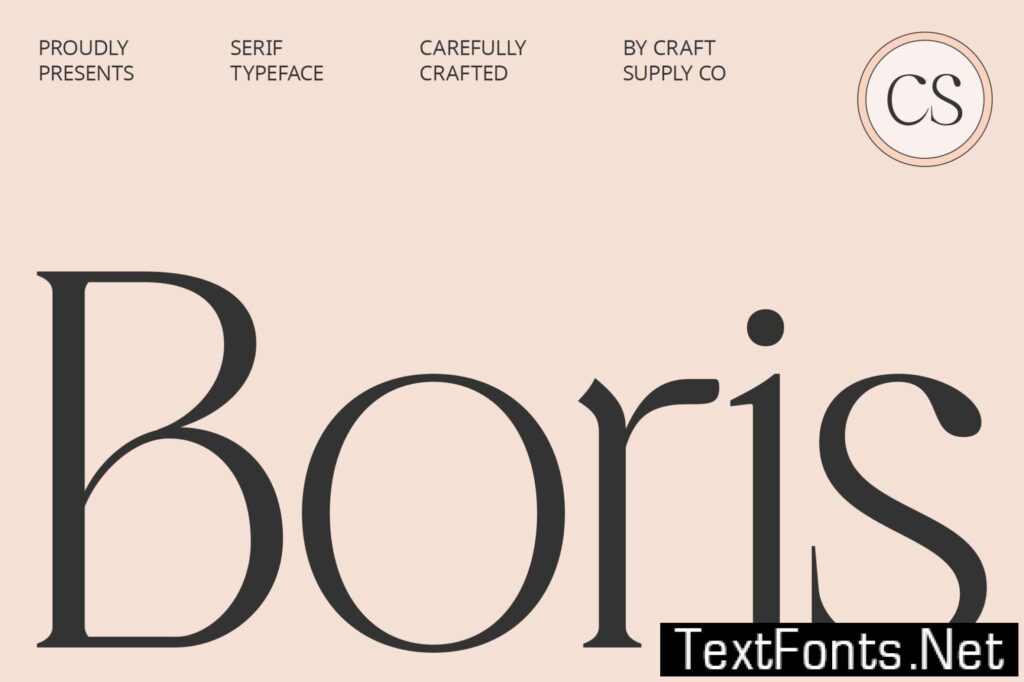 CS Boris – Elegant Font 6P9W5JU