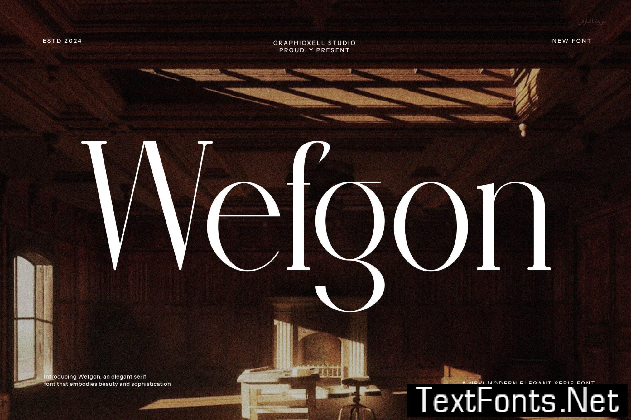 Wefgon Elegant Serif Font MYZQTMF