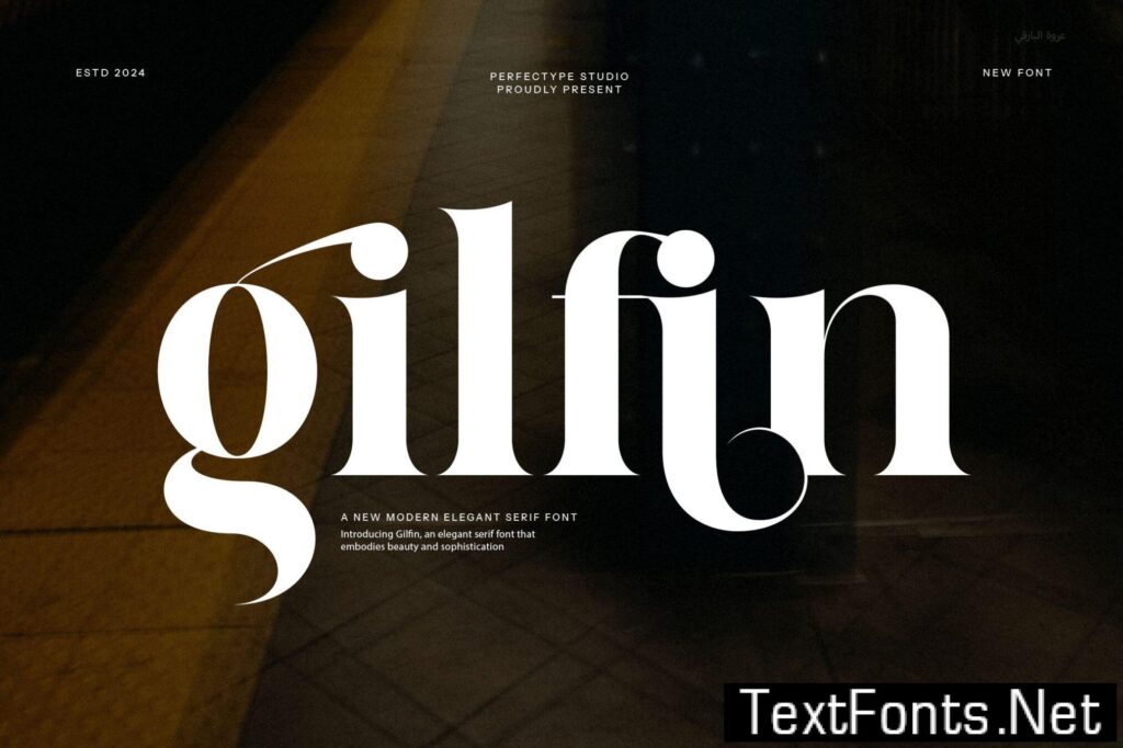 Gilfin Elegant Ligature Serif Font LYHKCZD