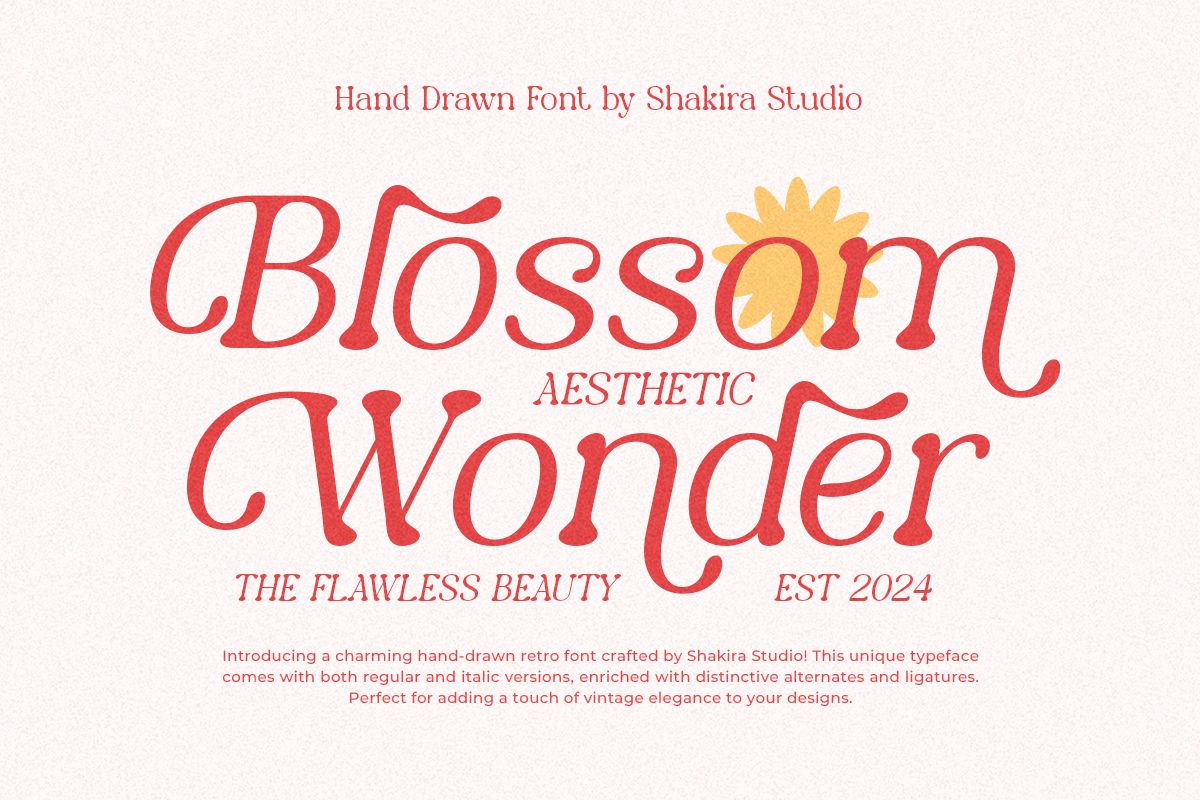 Blossom Wonder – A HandDrawn Font 8FBW9BS