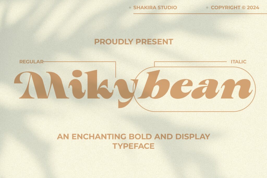 Mikybean – Bold Serfi Display FNKFCH9
