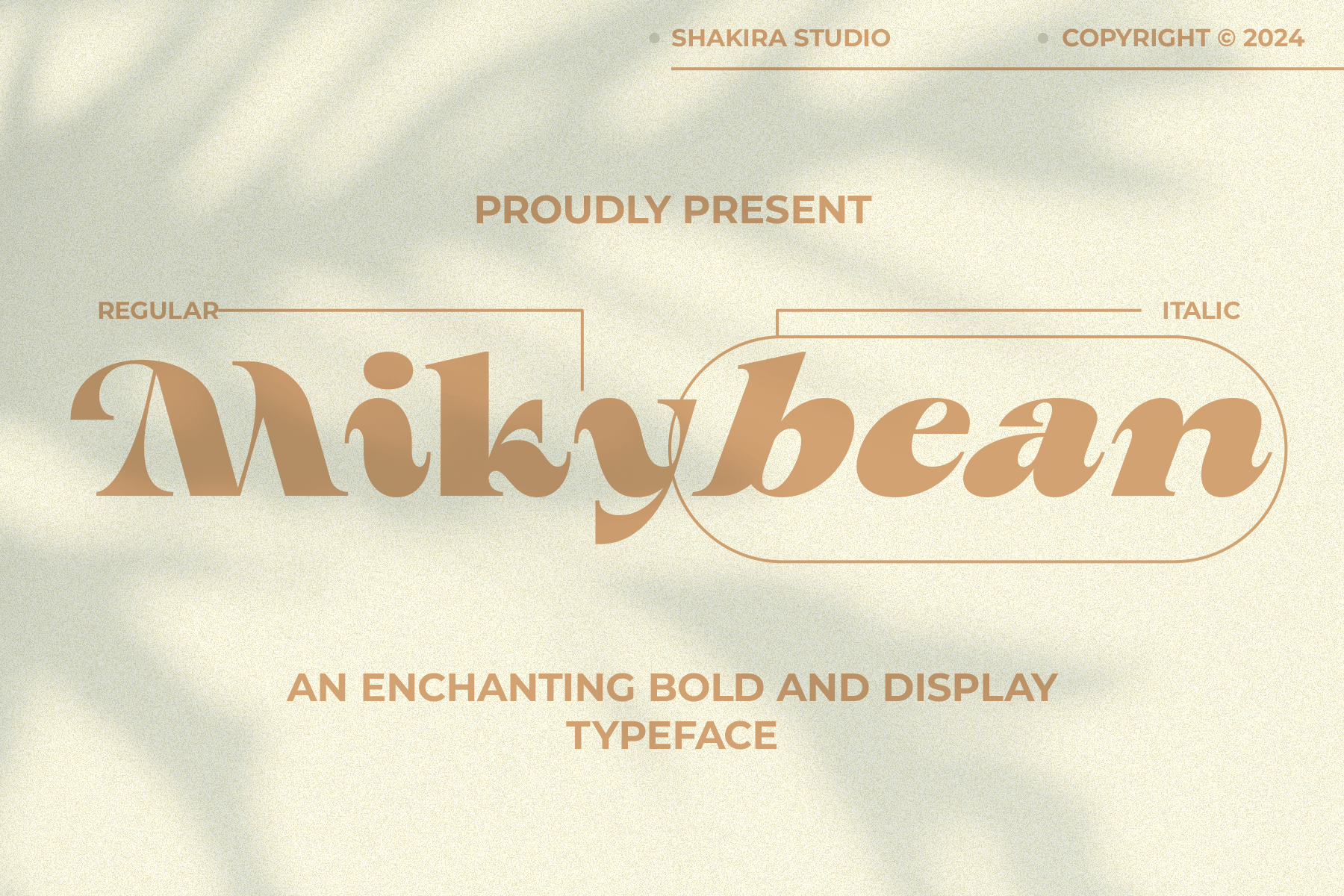 Mikybean – Bold Serfi Display FNKFCH9