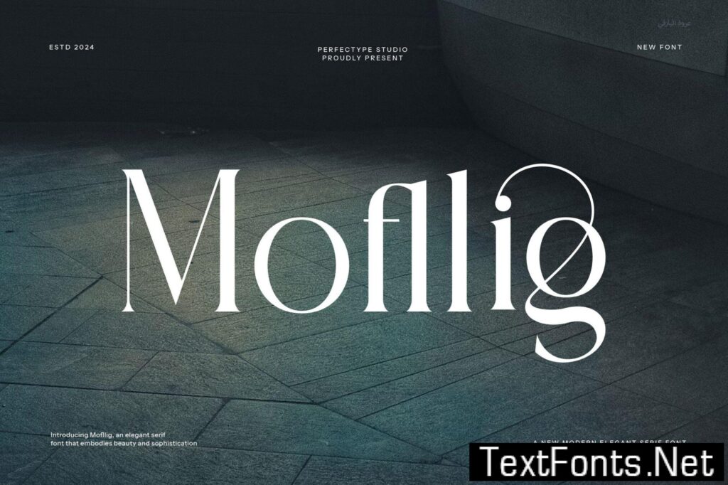Mofllig Modern Ligature Serif Font FQMTE7G