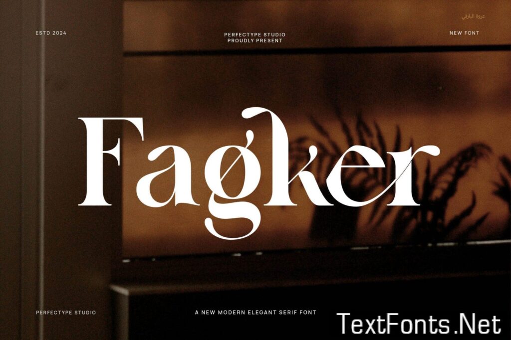 Fagker Elegant Serif Font B53Z89H