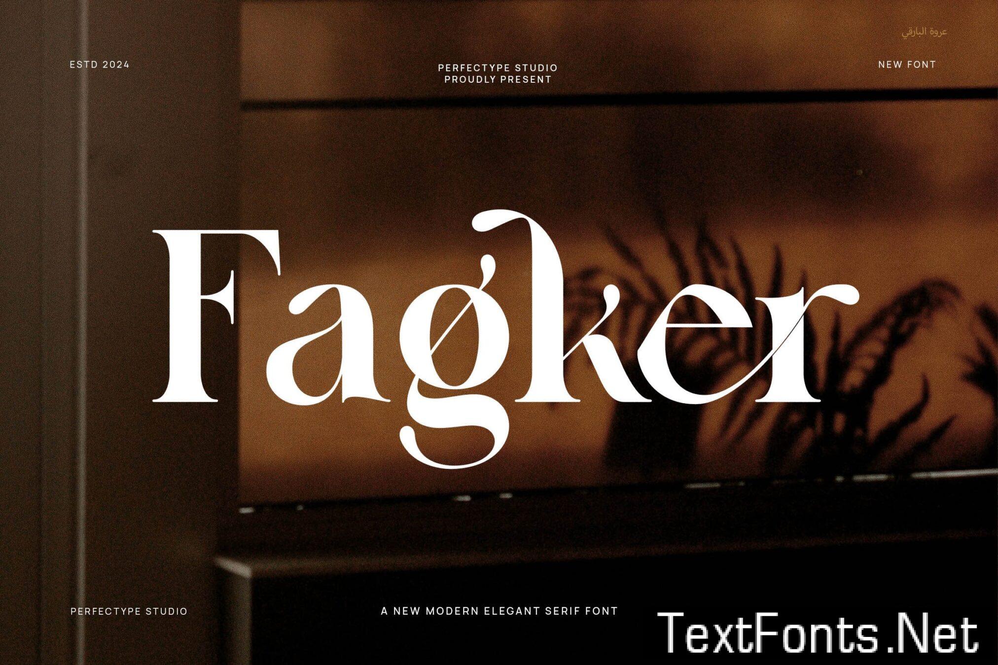 Fagker Elegant Serif Font B53Z89H