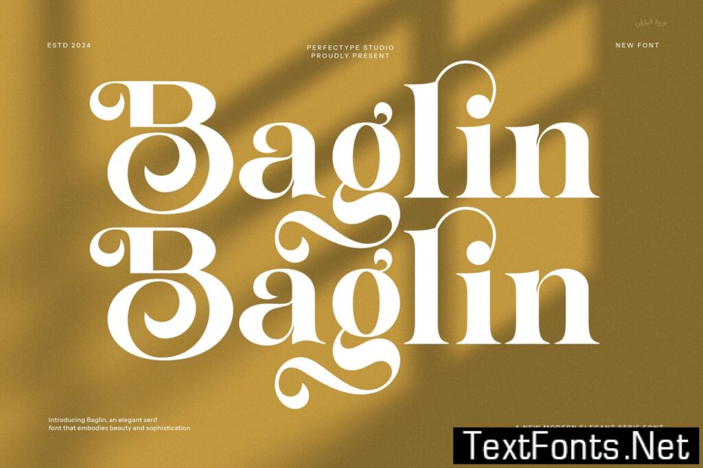 Baglin Elegant Ligature Serif Font CYH33QE