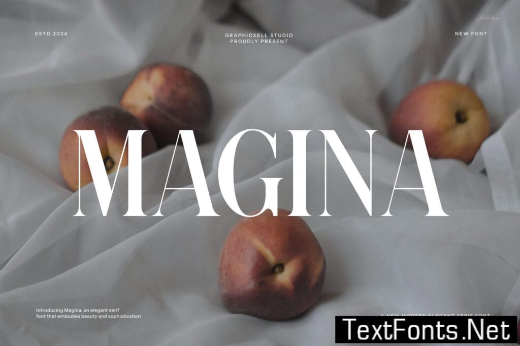 Magina Elegant Serif Font B3M34JB