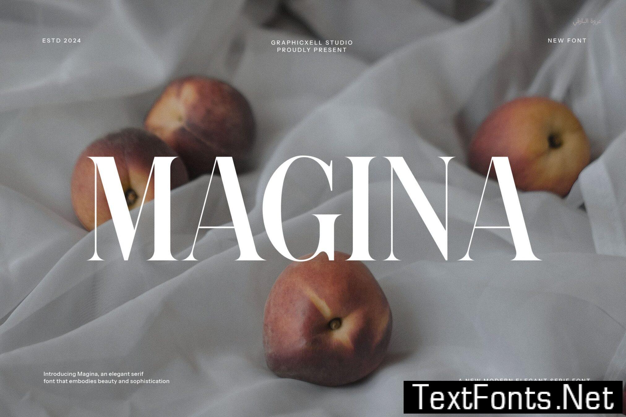 Magina Elegant Serif Font B3M34JB