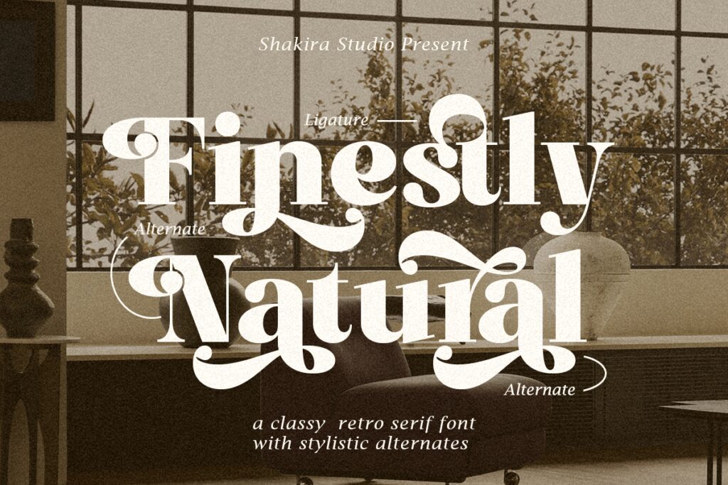 Finestly Natural – Retro Serif P6GZSQN