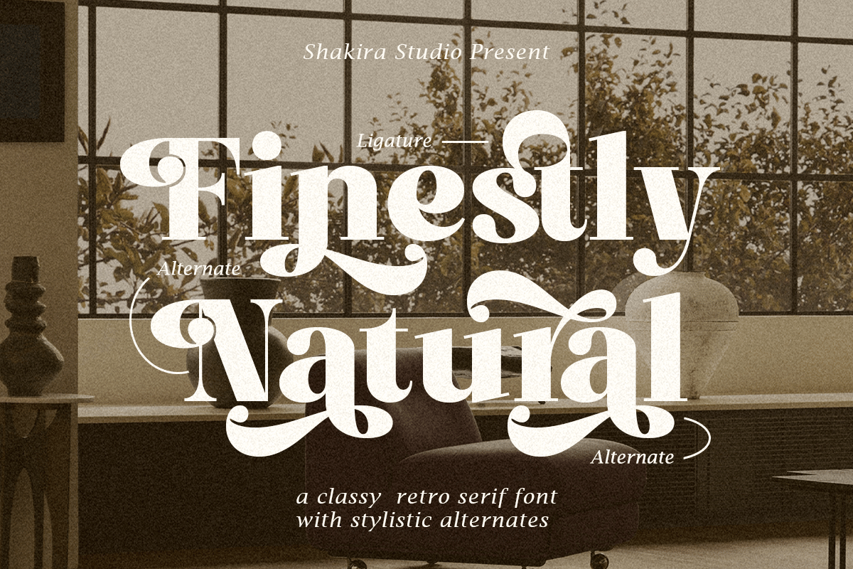 Finestly Natural – Retro Serif P6GZSQN