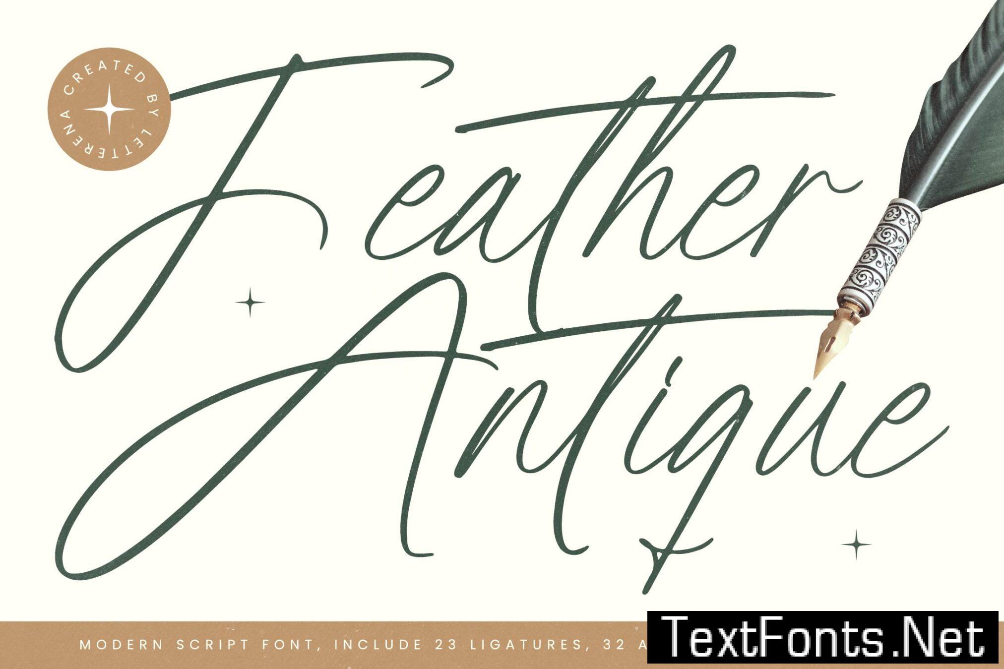Feather Antique Modern Script Font LUXC5Z2