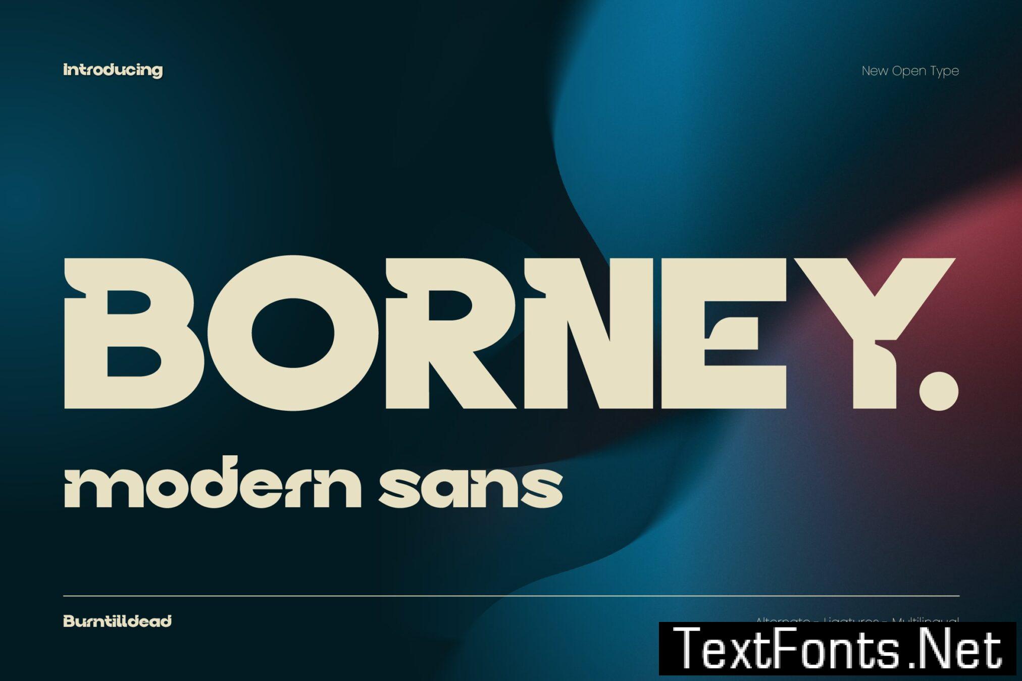 Borney 6KZSEZT