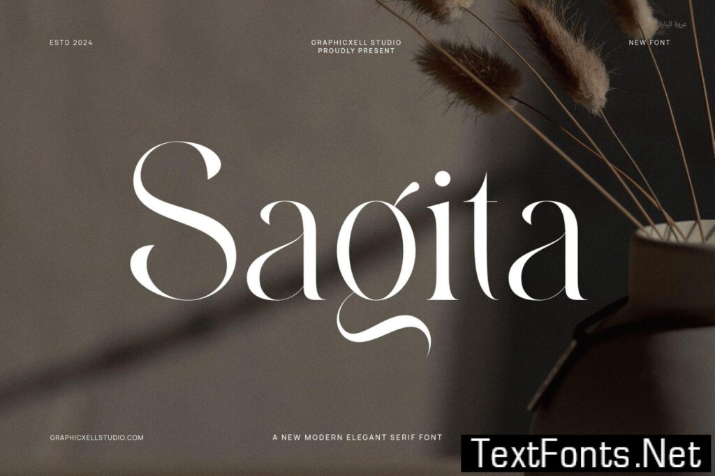 Sagita Modern Serif Font 8WZLYBN