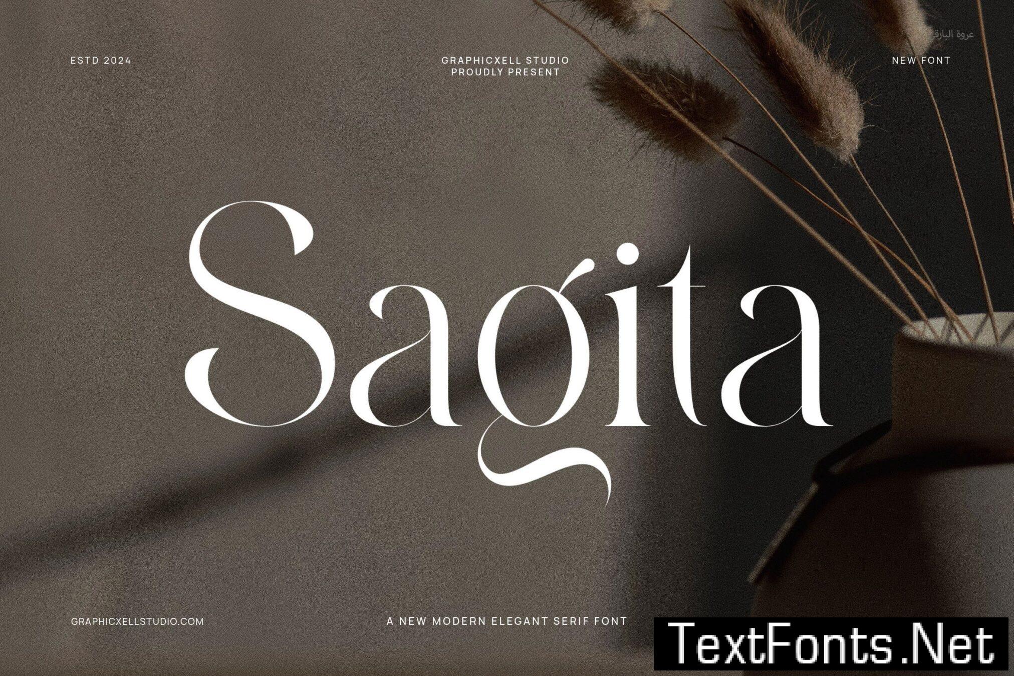 Sagita Modern Serif Font 8WZLYBN