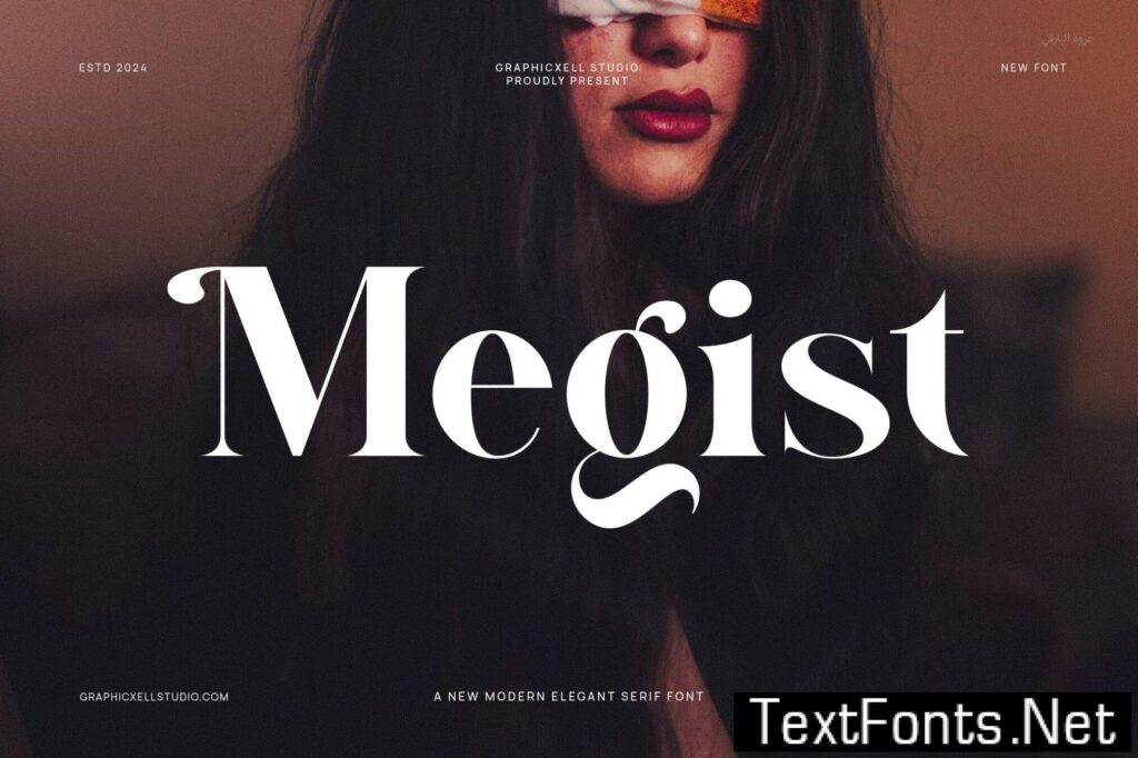 Megist Elegant Serif Font D3F8RJ3