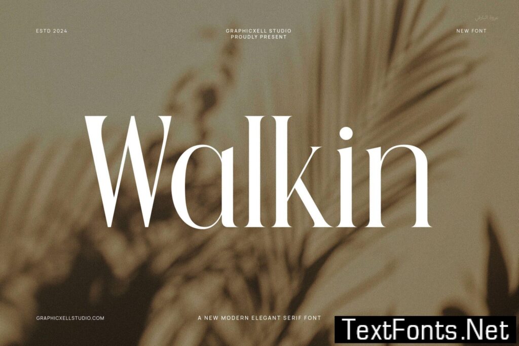 Walkin Modern Serif Font V4M7VJ8
