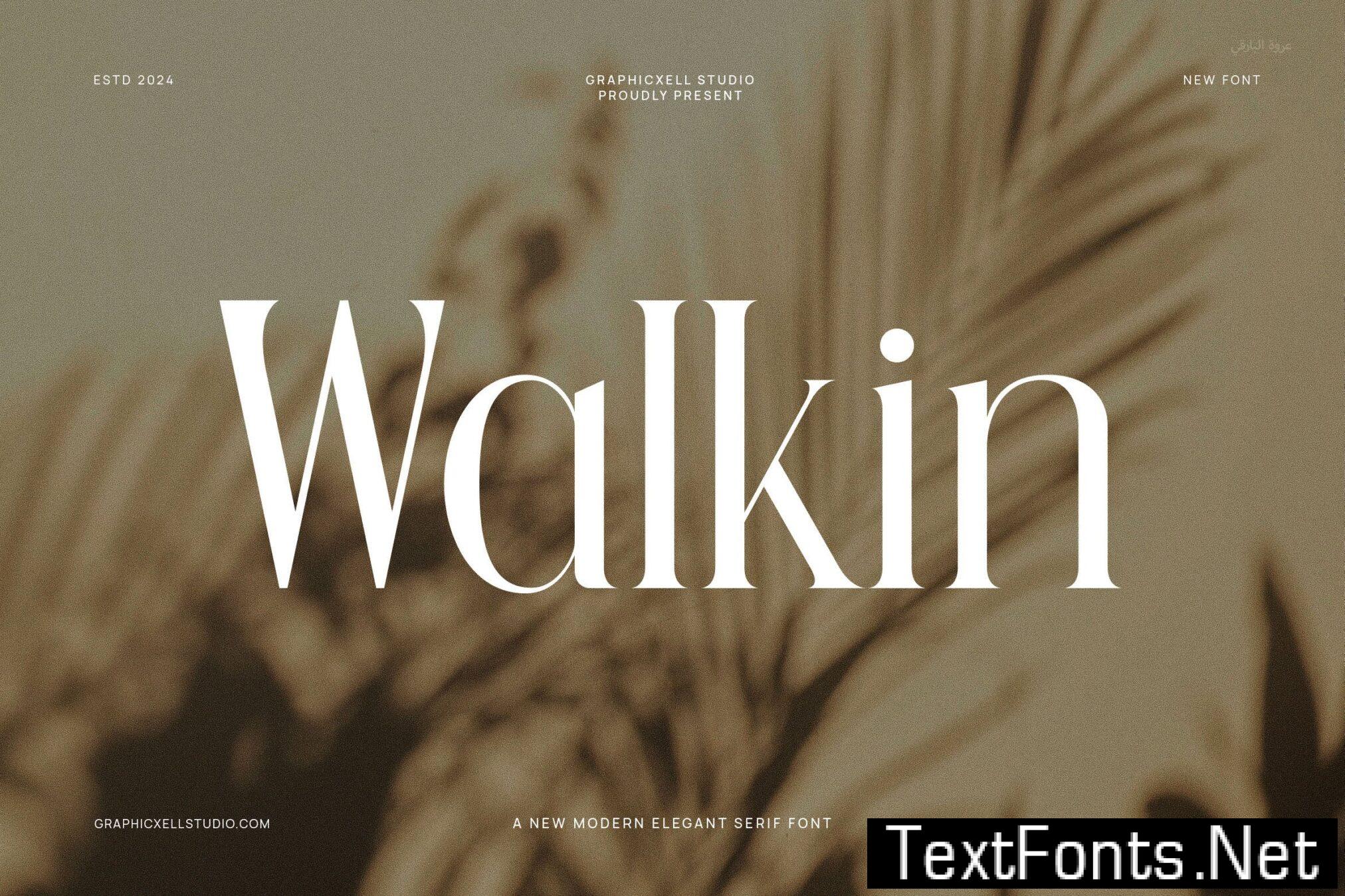 Walkin Modern Serif Font V4M7VJ8