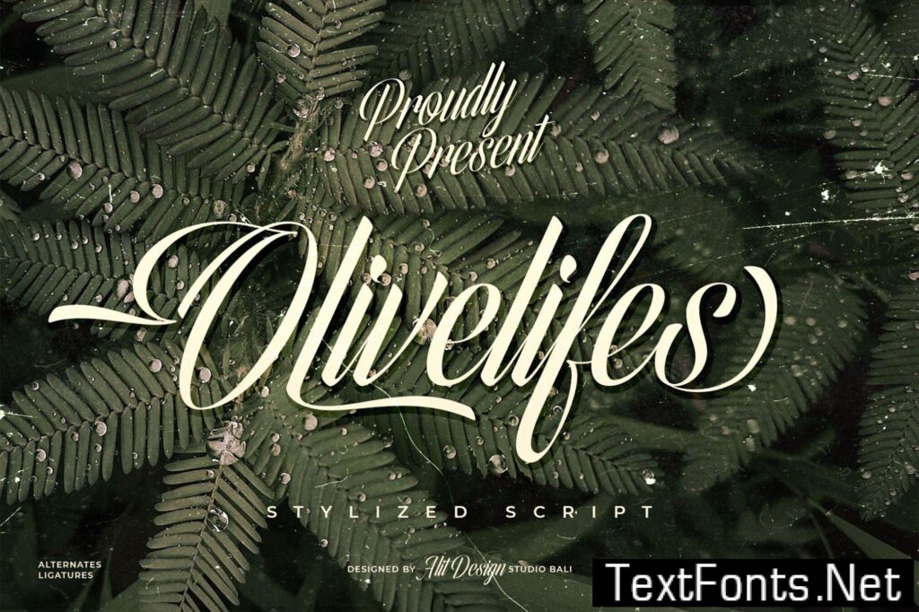 Olivelifes Script Font A8JZCT9