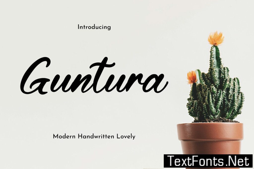 Guntura – Modern Handwritten Font 3TZSPXY