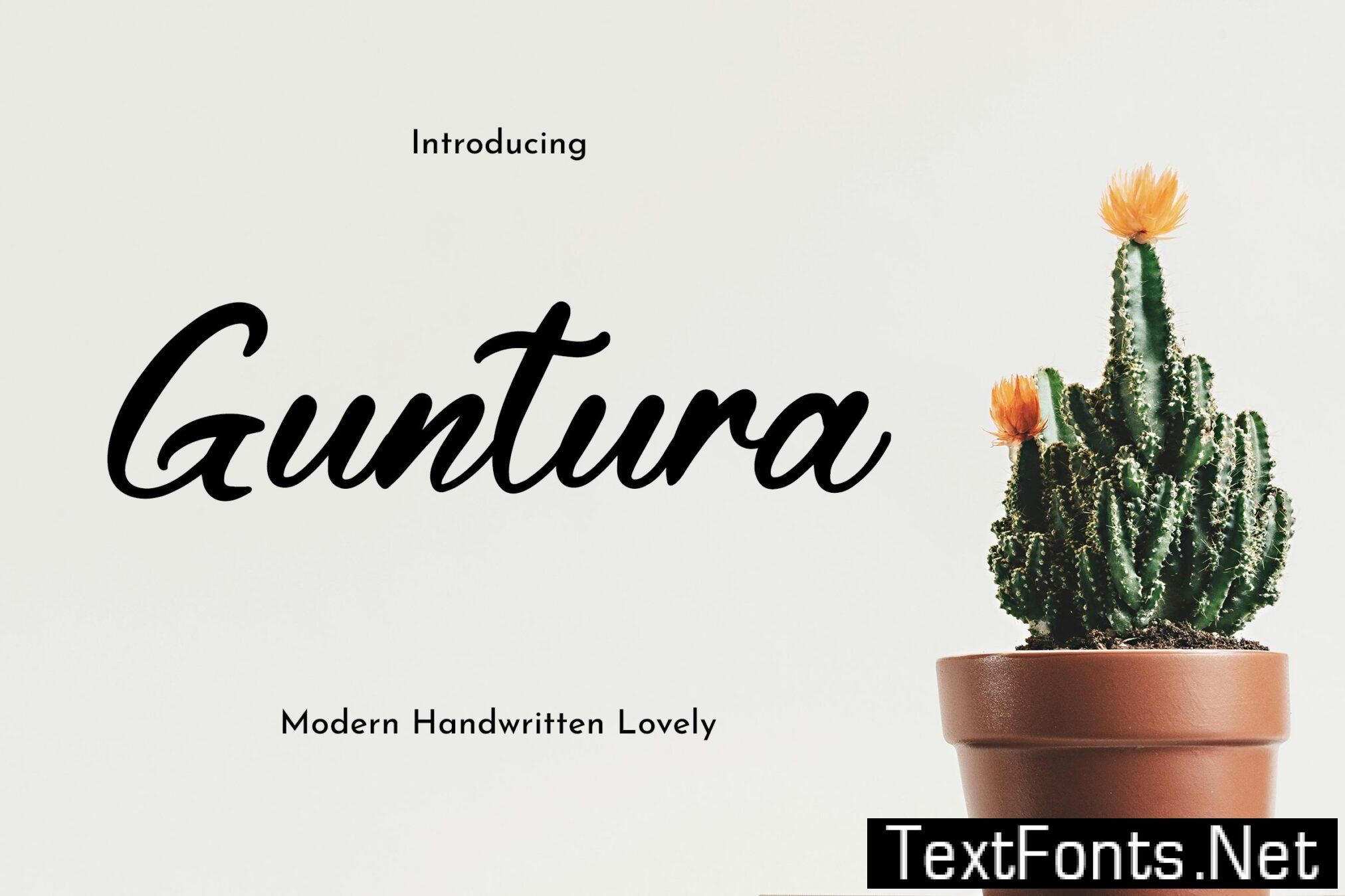 Guntura – Modern Handwritten Font 3TZSPXY